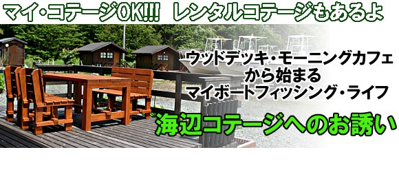 �C�ӃR�e�[�W