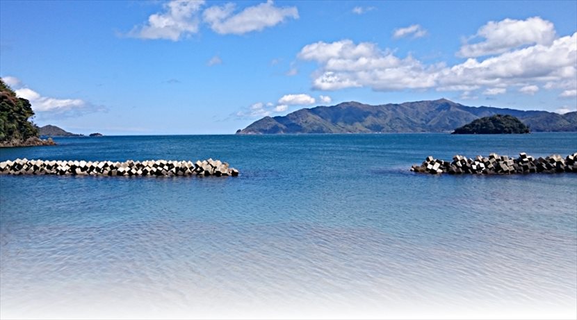 �R�e�[�W�f�b�L