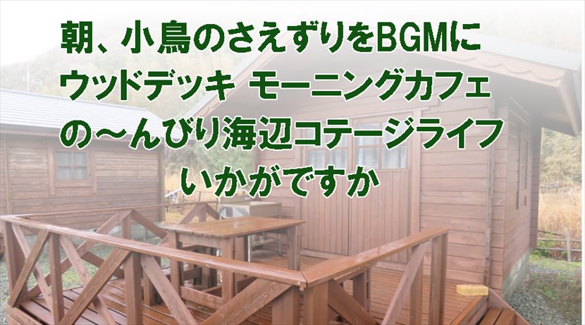 �C�ӃR�e�[�W���C�t